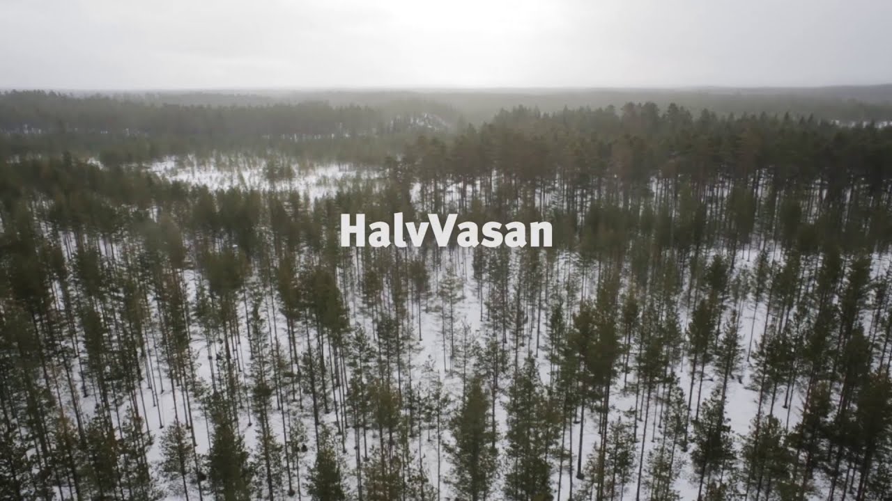 Halvvasan YouTube