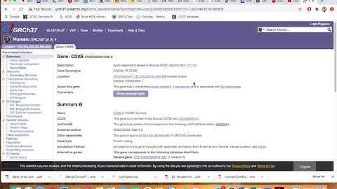 Retrieval of Gene Sequence from Ensembl Genome Browser
