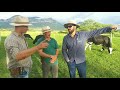 Propriedade de 3 hectares produzindo 400 litros de leite a pasto