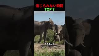 一瞬で状況が変わった動物たち 😳🐾