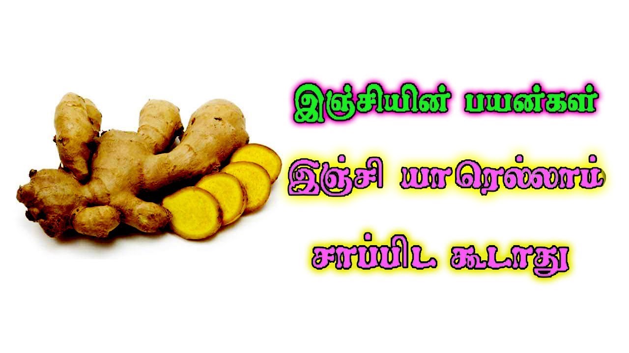 இஞ்சியின் பயன்கள் Ginger Benefits In tamil Siththarkal Ulagam YouTube
