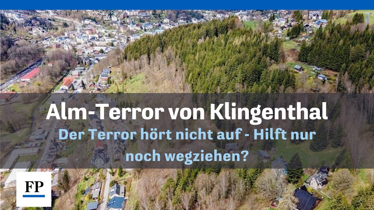 Der Alm-Terror von Klingenthal hört nicht auf: Hilft nur noch wegziehen?
