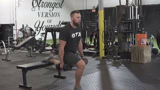 DB OSCILLATORY BULGARIAN SPLIT SQUAT