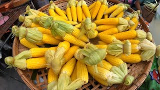 ข้าวโพดต้มขายดีมาก|Boiled corn sells very well|उबला हुआ मक्का|jagung rebus|ngô luộc bán rất chạy|🌽✨️