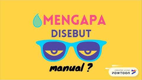 Audit Around The Computer