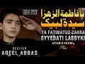 Ya Fatima Tu Zahra سید مجید یا فاطمه الزهرا صلی الله علیک Noha Bibi Fatima 2022 Aqeel Abbas 