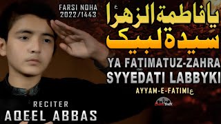 Ya Fatima Tu Zahra - سید مجید - یا فاطمه الزهرا صلی الله علیک - Noha Bibi Fatima 2022 - Aqeel Abbas