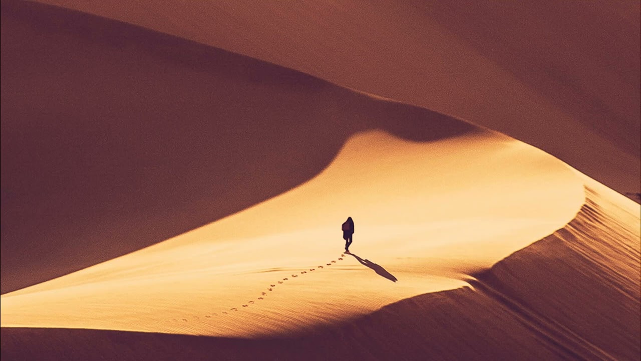 ⁣IInsanity = ARRAKIS