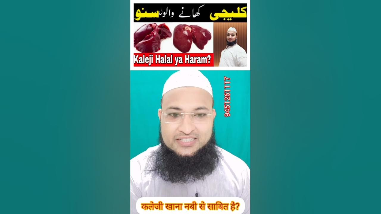 Kaleji Khana Halal Ya Haram Qurbani YouTube kaleji-khana-halal-ya-haram-qurbani-youtube