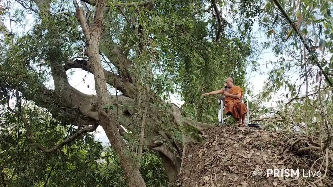 8 มีนาคม ค.ศ. 2026