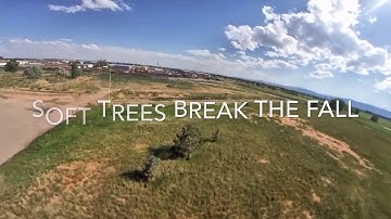 EMAX TinyHawk II Freestyle FPV HD: Soft Trees Break The Fall
