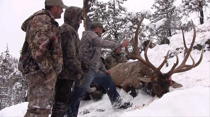Arizona Super Raffle 407" Elk Hunt - Bill Karnes - MossBack Arizona