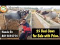 👍Price: Rs 27,000-55,000/-  @Handa Sir Cow Farm.👍Hisar, Village #Harita.👍 Haryana.👍