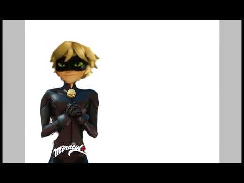 You can cat noir (tradução: você consegue cat noir) 