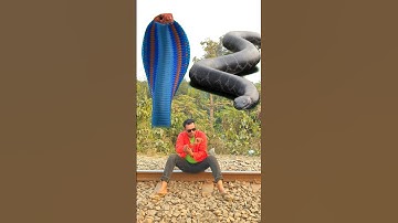 Anaconda snake in real life P47#shorts #short #snake #nagin #python #anaconda #snakes #bigsnake