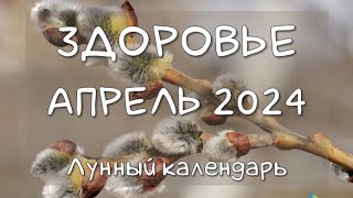 Лунный календарь ЗДОРОВЬЯ на АПРЕЛЬ 2024. Благоприятные и неблагоприятные дни #календарьздоровья