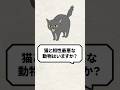 Q：猫と相性最悪な動物はいますか？ #猫 #猫のいる生活 #ねこ