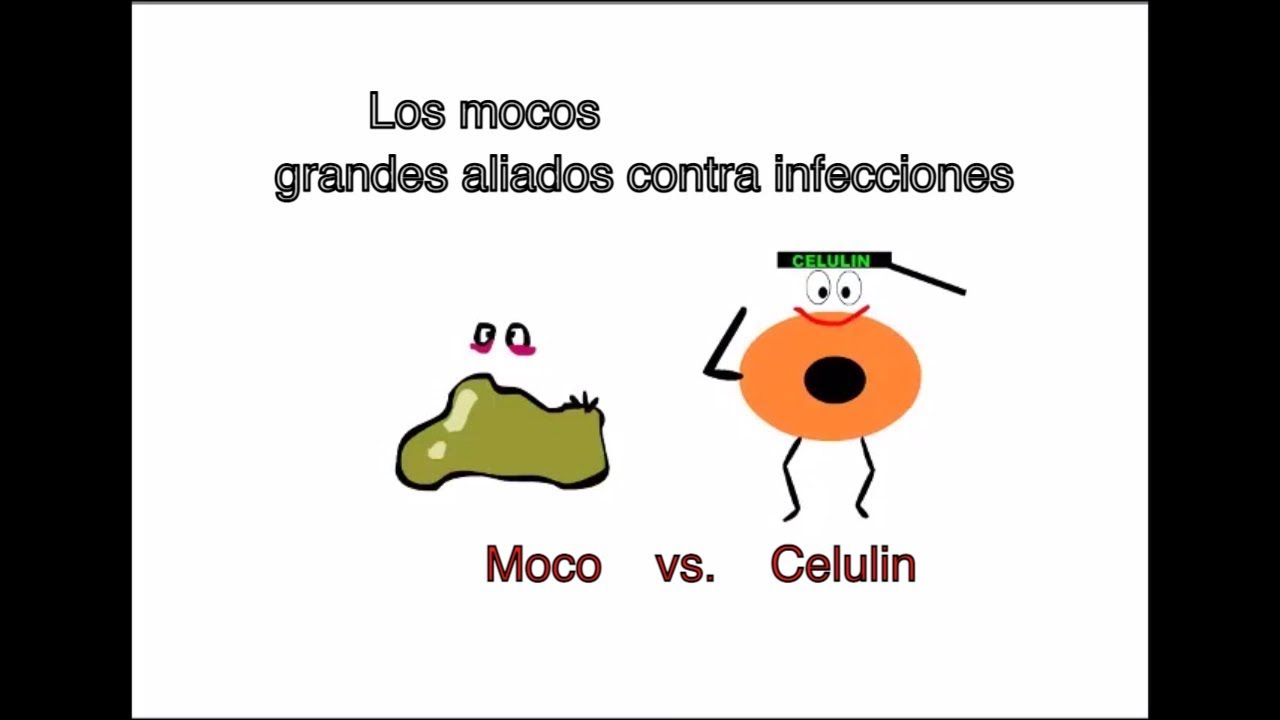 Los mocos y su importante función! - YouTube