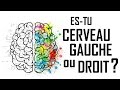 Dcouvre ton cerveau dominant  gauche ou droit 