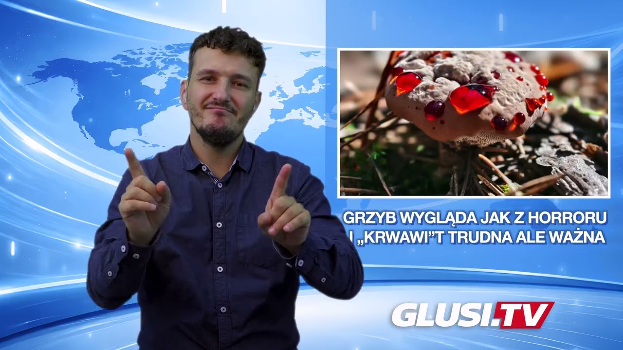 Grzyb wygląda jak z horroru i „krwawi”