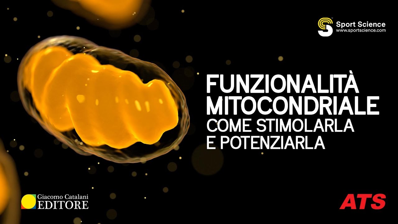 Funzionalità MITOCONDRIALE: come STIMOLARLA e POTENZIARLA?