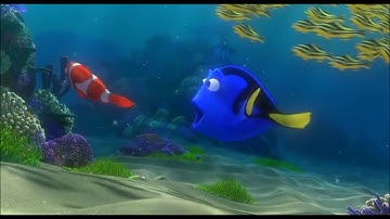 Dory - Anterograde Amnesia