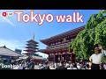 [東京散歩]池袋から、田端駅、浅草寺まで歩く✨[Tokyo Walk] Walking from Ikebukuro to Tabata Station and Senso-ji Temple ✨
