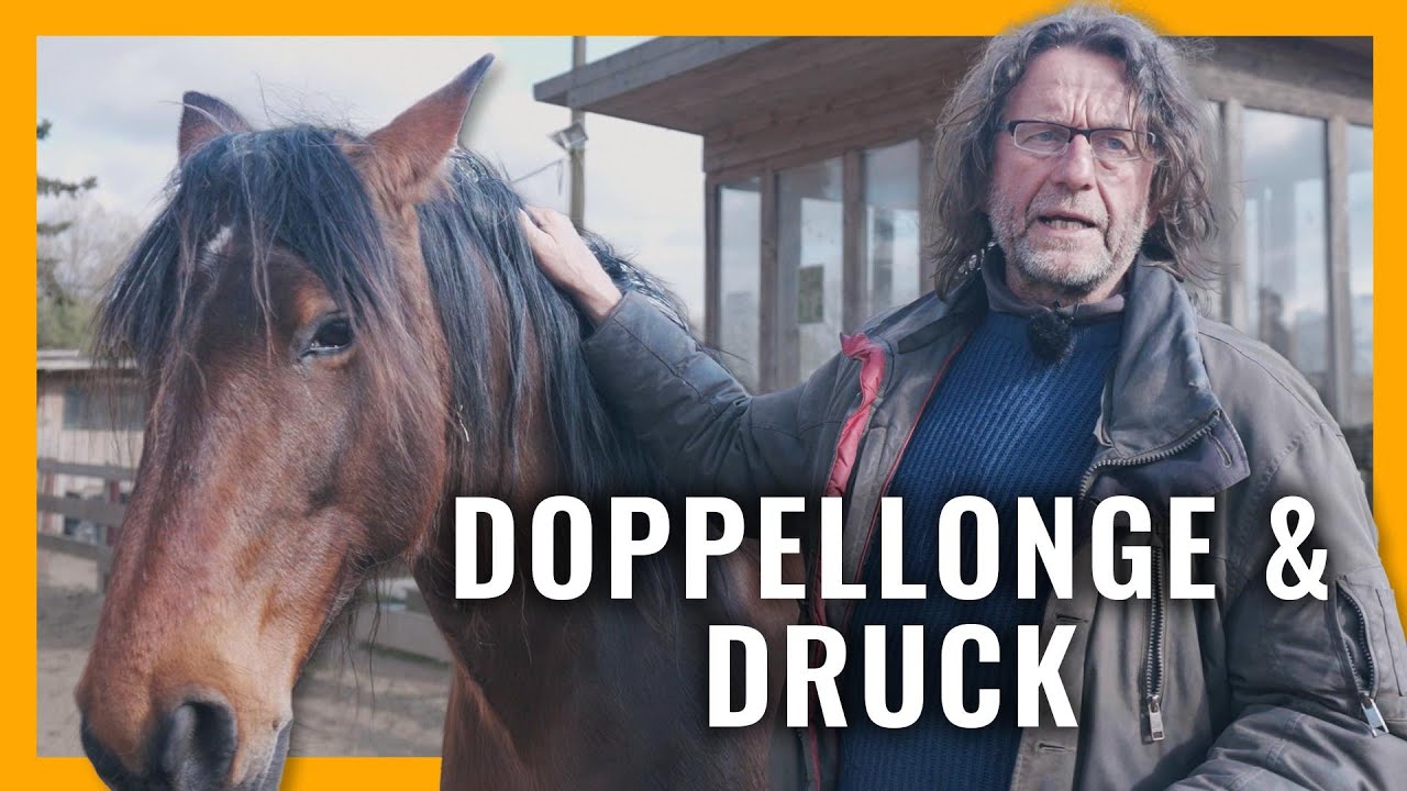 Mit Doppellonge und Druck - so trainierst du dein Pferd wie ein Profi! | Das Pferde ABC