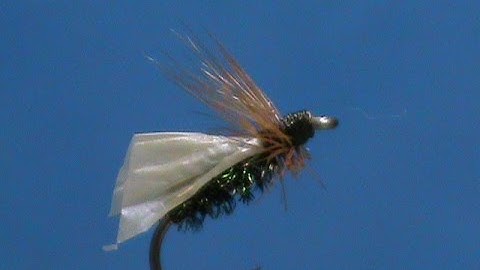Beginner Fly Tying a GB Peacock Caddis with Jim Misiura