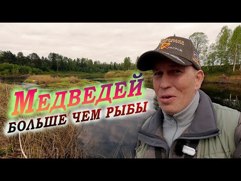Река Межа - Медведей больше чем рыбы