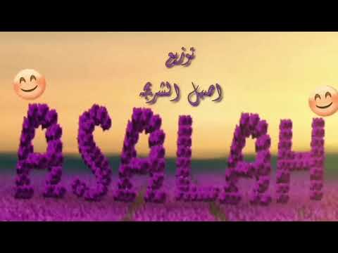 اصاله الشريجه | حبوب حبوب لاتغضب |HABOB HABOB