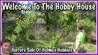 Nature, Gardening & RC Life at the Hobby House 🌿My Backyard Orchard Dream Is Finally Taking Shape 🍏
Today we’re stepping away from the RC bench for a little while and heading outside for a Holmes Hobbies yard & garden update! 🌿🏡
The robot mower has been doing an awesome job, flowers are blooming, and the future orchard area is slowly starting to take shape. This place has really become my spot to relax, recharge, and enjoy nature after long days of work and testing.
I wanted to give y’all a quick tour of how things are progressing on the nature side of the Hobby House. It’s peaceful, it’s simple, and honestly it’s becoming one of my favorite projects.
👉 Follow for more RC crawling, tech, and real-world testing:
Youtube: https://www.youtube.com/holmeshobbies
Website: https://HolmesHobbies.com/
2nd Channel: https://www.youtube.com/johnrobholmes
Holmes Hobbies, Hobby House, garden update, backyard orchard, robot mower, robotic lawn mower, nature vlog, relaxing backyard, garden tour, homestead update, flowers blooming, orchard plans, backyard project, peaceful backyard, Missouri garden, nature therapy, outdoor living, yard transformation, hobby house update, relaxing outdoor space, gardening vlog, future orchard, landscaping ideas, backyard dreams, countryside living, lawn care tech, garden inspiration, outdoor hobby, peaceful nature video, relaxing garden tour, backyard escape, outdoor lifestyle, blooming flowers, orchard setup, hobby farm vibes, garden progress, outdoor relaxation, nature side of Holmes Hobbies #HolmesHobbies #GardenUpdate #RobotMower #BackyardLife #Nature #OutdoorLiving #GardenTour #Orchard #BackyardProject #Relaxing #Missouri #NatureVibes #Homestead #LawnCare #Gardening Nature, Gardening & RC Life at the Hobby House 🌿My Backyard Orchard Dream Is Finally Taking Shape 🍏