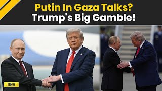 Gaza News Trump Invites Russias Putin To Gaza Board Of Peace In Unexpected Move Us Russia News