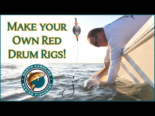 How to Make a Red Drum Rig - Catchin' with Kevin 