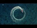 Lykkehjulet - nye afsnit | Trailer | TV 2 PLAY