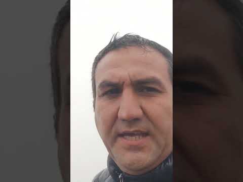 هوای مه الود