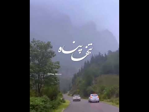 این آهنگ منو می بره به سوی خاطره ها