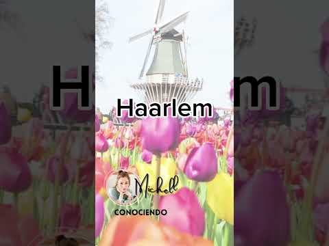 Video: Excursión de un día a Haarlem, la capital de Holanda Septentrional