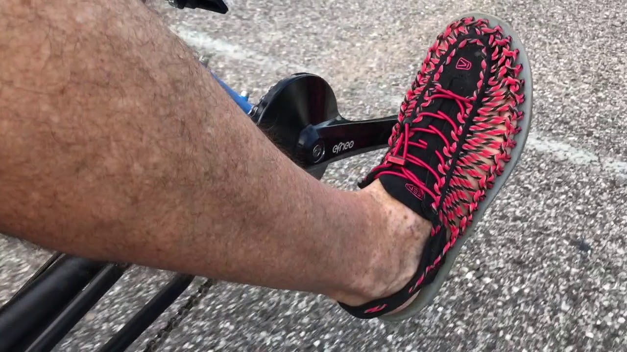 EFNEO Gearbox Review