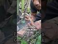 Forest crafts, making fire with coconut fiber #primitivefirelighting #bushcraft