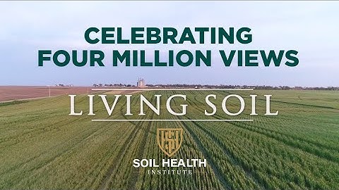 Living Soil Film
