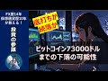 【仮想通貨】ビットコイン底打ちか続落か？大暴落相場を分析