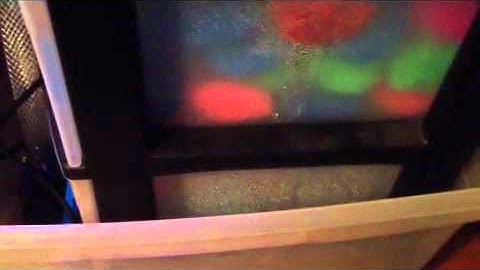 DIY Wet/dry filter 28 gallon