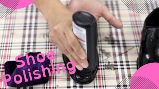 Montessori Presentation : Shoe Polishing