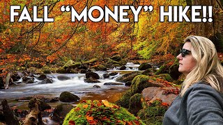 How To See Fall Foliage In Massachusetts | Top Things To Do In The Berkshires