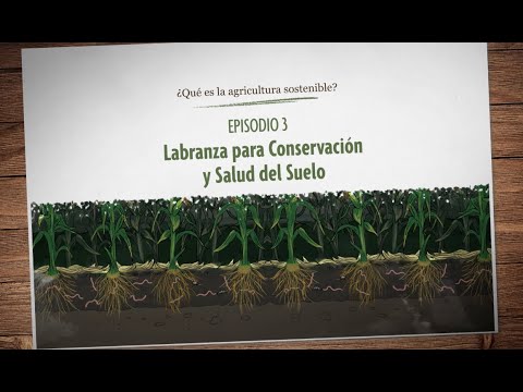 Video: ¿Por qué se hace la labranza?