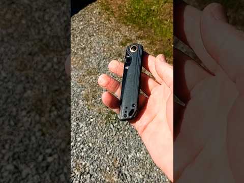 Walk n Flick: Kizer Begleiter 2