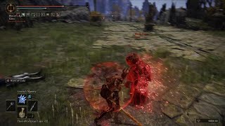 Elden Ring Invader Cheap Attempt Fails