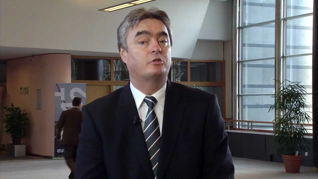 Dr. Milan Zver BRUSELJ JAN 2012