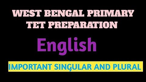 West Bengal Primary Tet Preparation//English /Singular and Plural